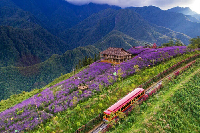 Muong Hoa valley