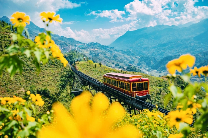 Train gliding through Muong Hoa Valley