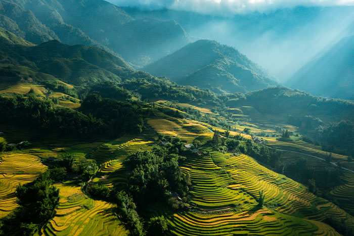 See and admire everything from the top