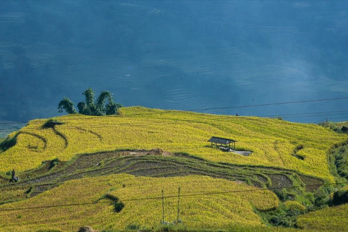 Cloud hunting on Lao Than mountain in Y Ty