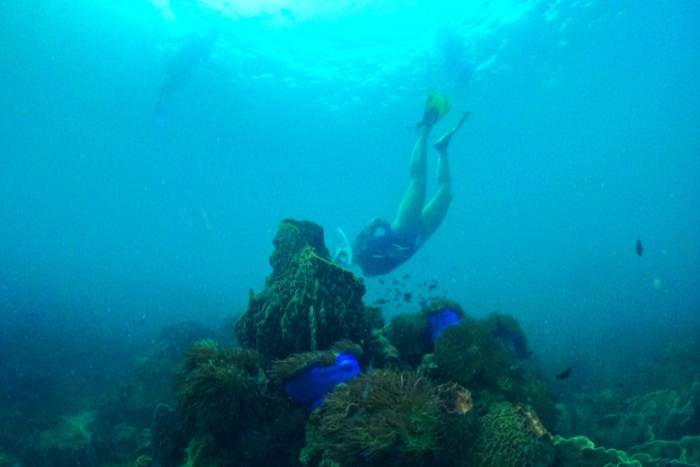 Snorkeling in Southern Vietnam at Con Dao Island
