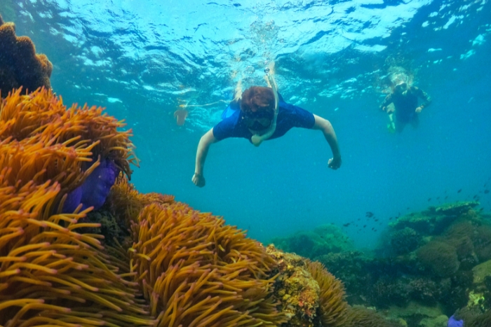Snorkelers exploring coral reef in Phu Quoc