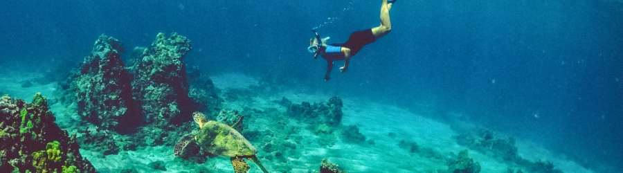 Snorkeling in Northern and Southern Vietnam