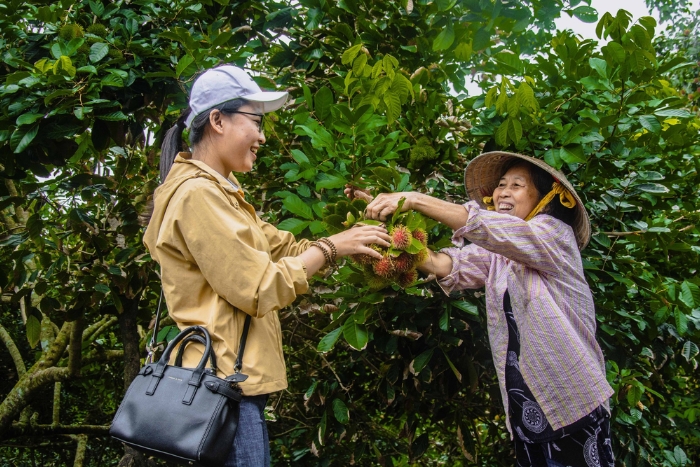 Cu Lao Tan Phong Orchard, Tien Giang, Vietnam