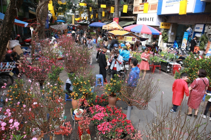 Traditional Vietnamese Tet Market