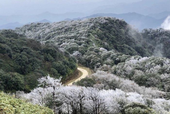 Remarkable biodiversity in the mountains of Cao Bang