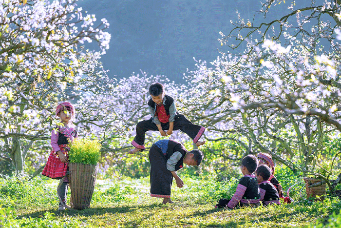 Learn more about local culture of white Thai people