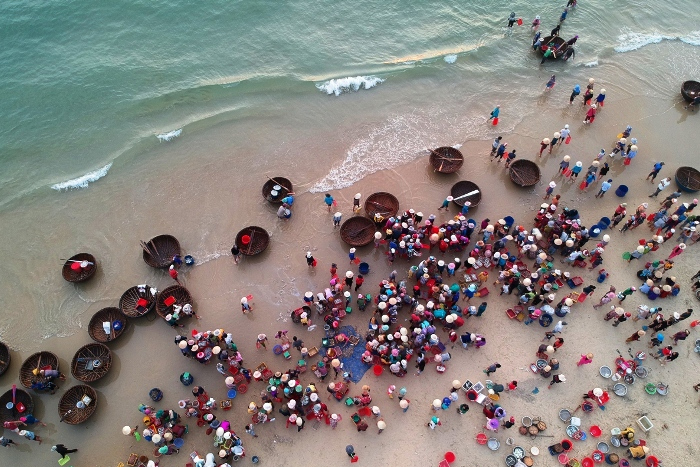 Dong Hoi Fish Market