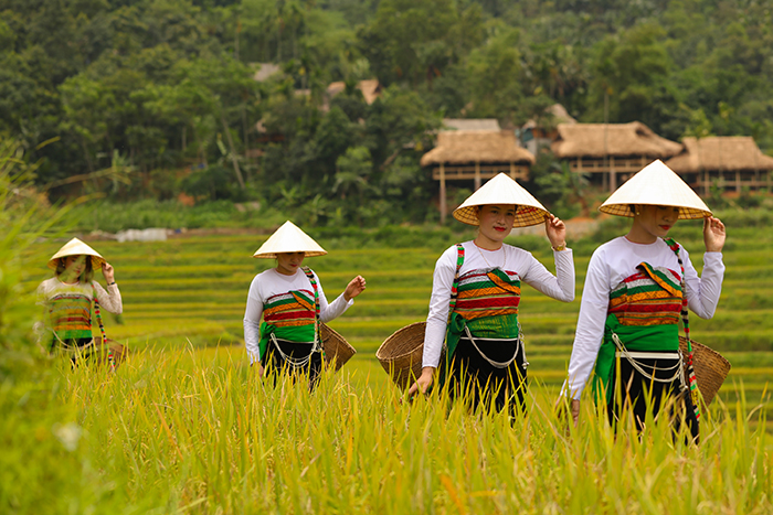 Pu Luong in northern Vietnam – What to see in Vietnam in 15 days?