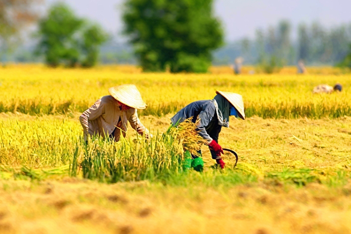 November is the perfect season to visit Vietnam