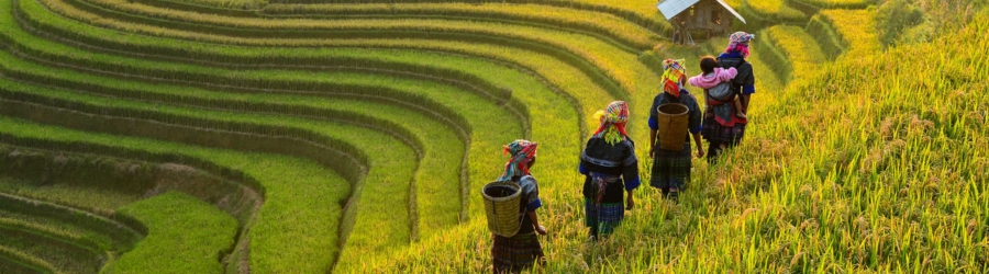 Explore 15-day Vietnam travel itinerary with Mr. Luthier