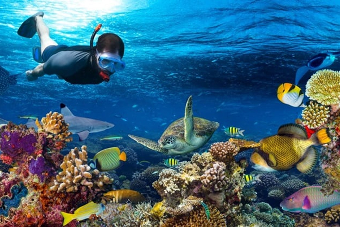 Top things to do on Phu Quoc Island
