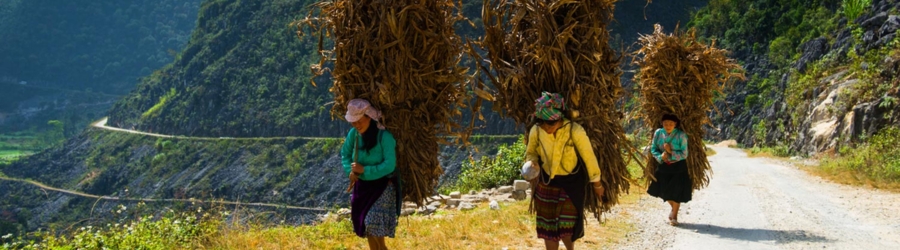 Appraisal of a 2-week North Vietnam itinerary by Fabrice's family