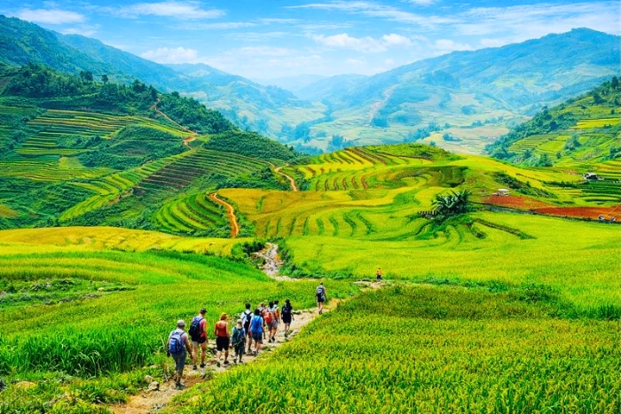 Hike toward Lao Chai and Ta Van in the heart of the northern landscapes