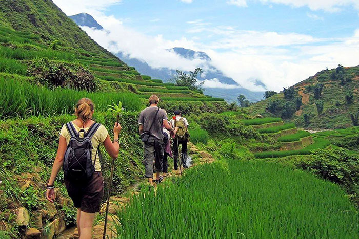 Hiking through Vietnam’s terraced rice fields