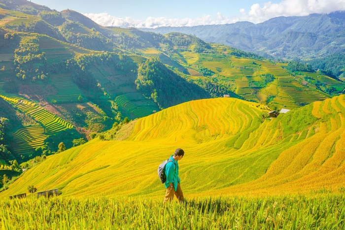 Why choose the North Vietnam Highlands for a coolcation?