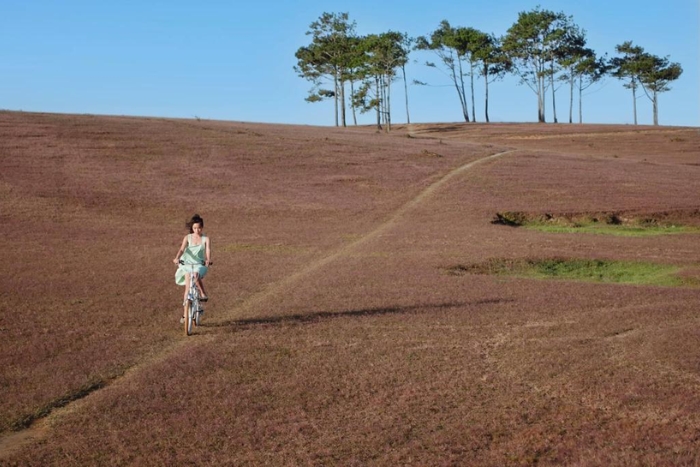 From November to the end of December on Masara Hill Da Lat