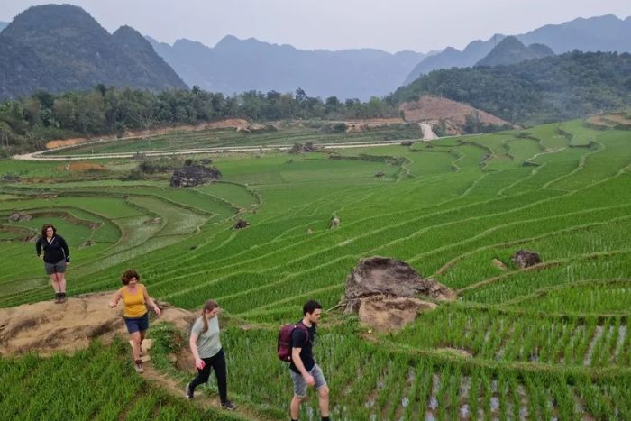 Rice terraces in Pu Luong
