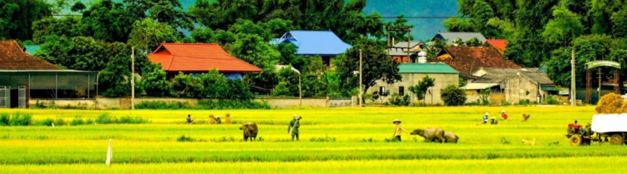 24h in Dien Bien - Que faire ?