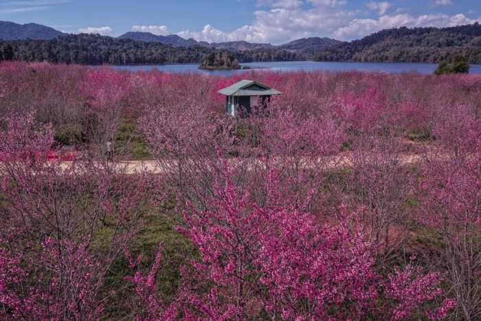Pa Khoang Lake - must-see destination in Dien Bien with family