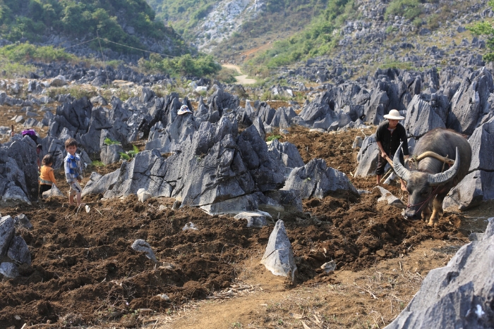 Tua Chua Karst Plateau