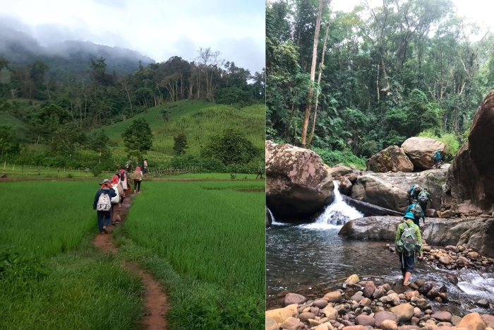 Muong Nhe Nature Reserve in Dien Bien