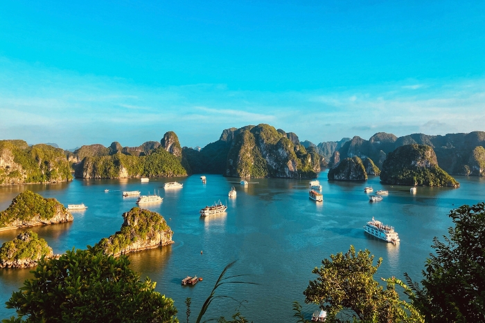 Halong Bay shines under bright sunlight