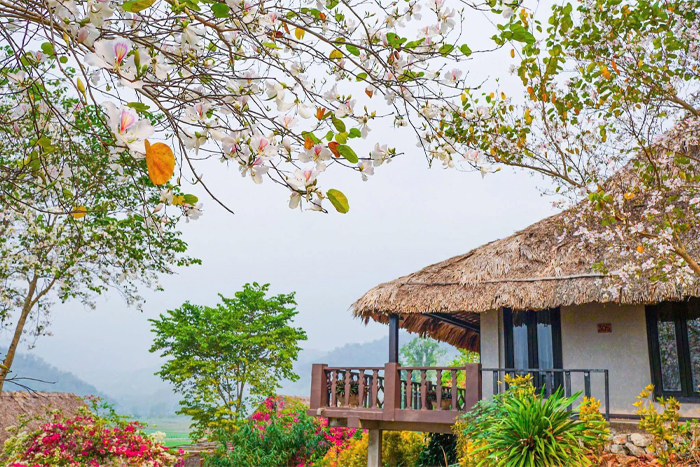 Homestay in Mai Châu