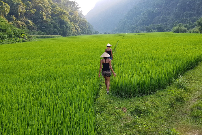 Best things to do in Pu Luong