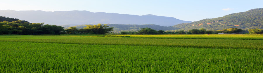 What To Do In Mai Chau Vietnam In 3 Days? Itinerary Mai Chau 3 Days