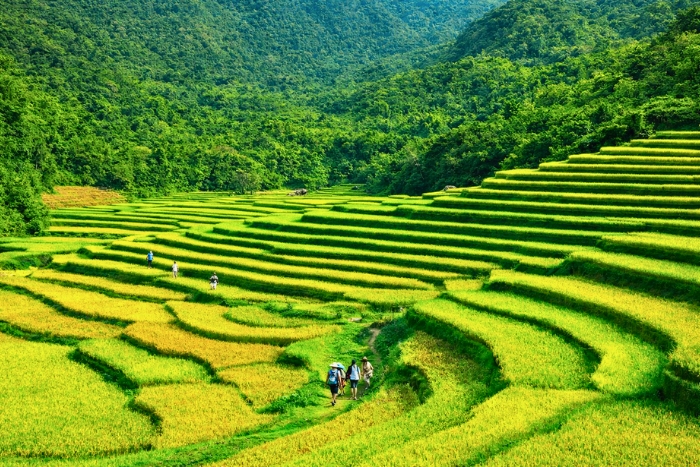 Contemplating the peaceful landscapes of Don Village