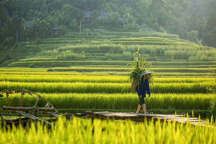 Discover the beauty of Mai Chau Vietnam