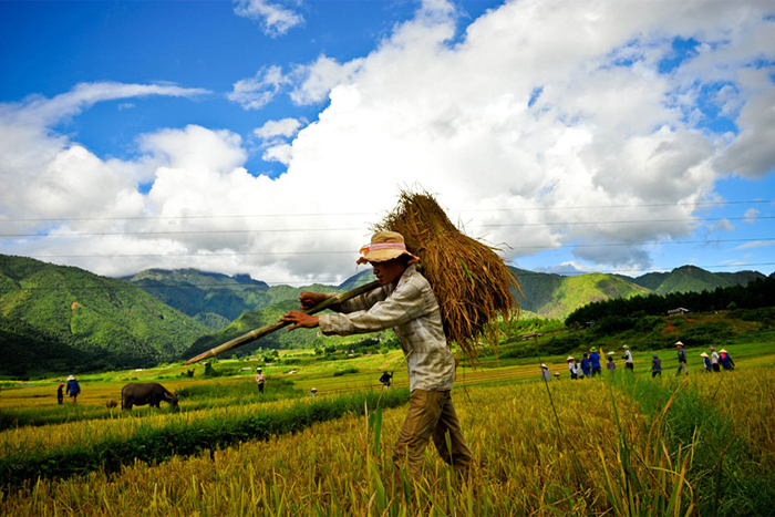 Disover Pu Luong Vietnam