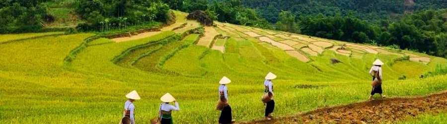 Itinerary of 4 days in Mai Chau Pu Luong