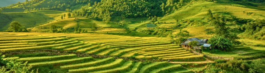 When to visit Mai Chau Vietnam ?