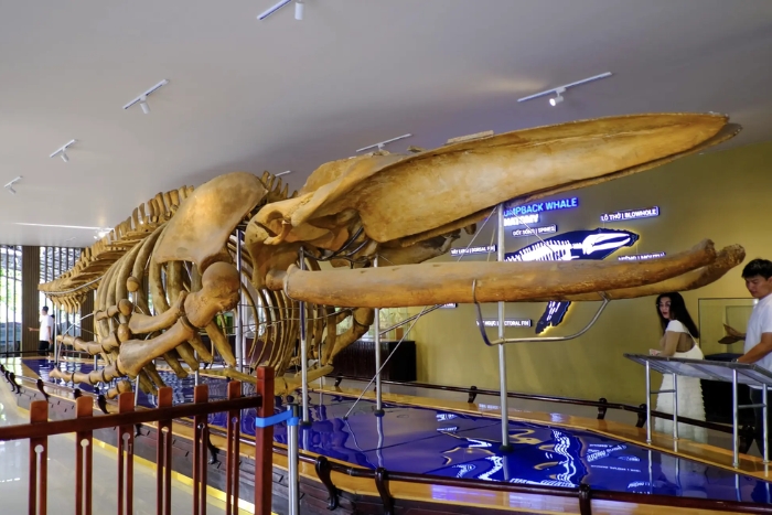 Oceanographic&lrm; Institute during your 2-day itinerary in Nha Trang