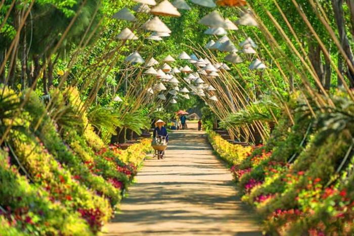A leisurely walk along the orchid pathway