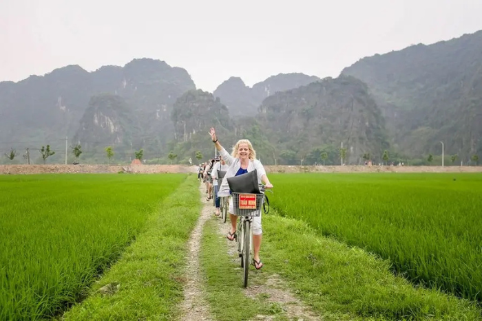 Cycling around Tam Coc allows you to pass through picturesque rice fields