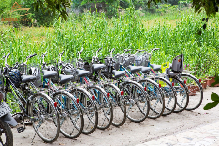Most hotels and homestays in Tam Coc offer bicycles for rent
