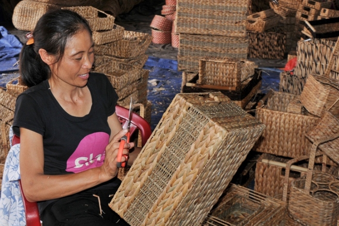 Kim Sơn traditional sedge weaving craft Ninh Bình