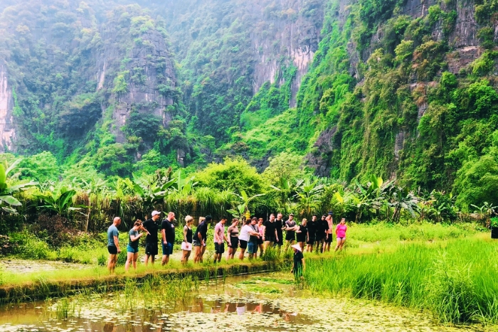 Learning traditional rice farming in rural Ninh Binh