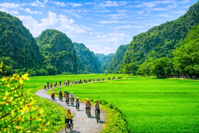 Cycling in the heart of the lush rice fields, one of the best activities in Tam Coc in March and April
