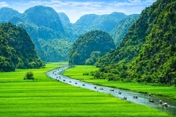 Tam Coc in March and April - Lush rice fields and pleasant climate