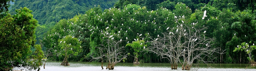 Tam Coc Ninh Binh Tourist Map - Best places to visit