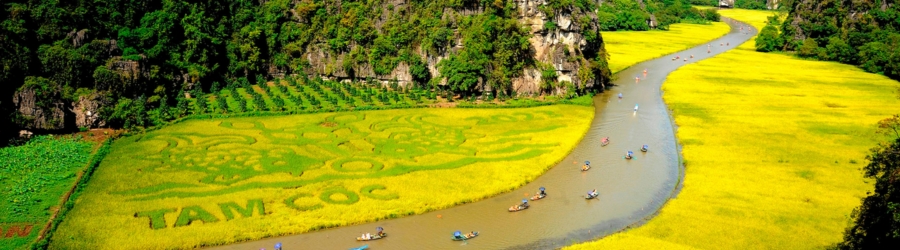 What to do and see in Tam Coc Ninh Binh in November?