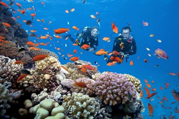 What to do in Phu Quoc? Don’t miss a dive around the coral reefs of the An Thoi archipelago