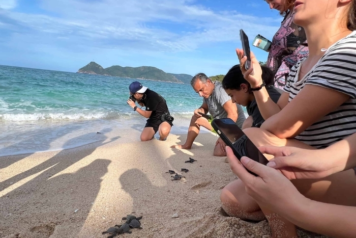 Phu Quoc vs Con Dao - Con Dao is the best for ecotourism