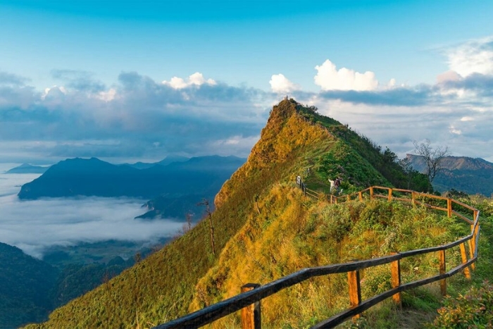 Con Dao National Park has been recognized as an ASEAN Heritage Park