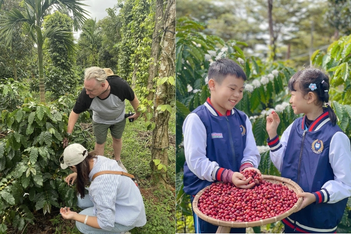 Aeroco Organic Coffee Farm in Dak Lak, Vietnam