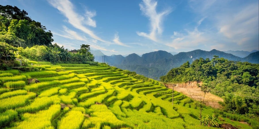 Photography Tours in Puluong